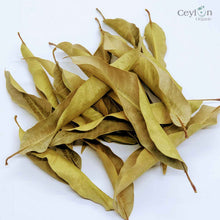 Load image into Gallery viewer, 500+ Mango Leaves,Dried Mango Leaves, 100% Organic Dried Mango Leaves | Ceylon organic-2
