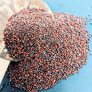 Mustard Seeds,The Culinary Power of Mustard Seeds | Ceylon Organic-0