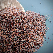 Load image into Gallery viewer, Mustard Seeds,The Culinary Power of Mustard Seeds | Ceylon Organic-4
