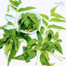 Load image into Gallery viewer, 2kg+ Neem Leafs, Neem Leaves, Dried Neem Leaf, Dried Neem Leaves | Ceylon Organic-2
