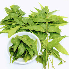 Load image into Gallery viewer, 2kg+ Neem Leafs, Neem Leaves, Dried Neem Leaf, Dried Neem Leaves | Ceylon Organic-0
