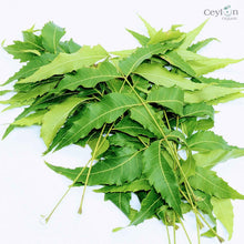 Load image into Gallery viewer, 2kg+ Neem Leafs, Neem Leaves, Dried Neem Leaf, Dried Neem Leaves | Ceylon Organic-3
