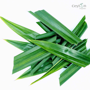 2kg+ Pandan Leaves,Dried Pandan Leafs,Dried Pandanus Leaves | Ceylon Organic-2