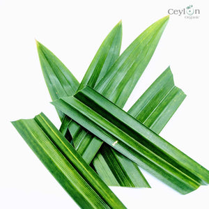 2kg+ Pandan Leaves,Dried Pandan Leafs,Dried Pandanus Leaves | Ceylon Organic-4