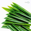 2kg+ Pandan Leaves,Dried Pandan Leafs,Dried Pandanus Leaves | Ceylon Organic-1