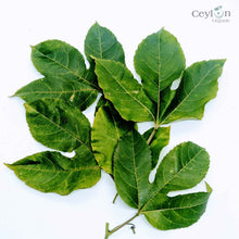 Load image into Gallery viewer, 500+ Passion Fruit,Dried Passion Fruit Leaves,Dried Natural Passion Fruit Leaves | Ceylon organic-0
