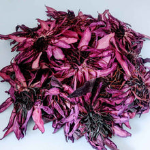 Load image into Gallery viewer, Dried Ceylon Natural Red Lotus flowers,Nymphaea Rubra Flowers, Red water lily flowers Herbal Tea | Ceylon Organic-4
