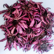 Load image into Gallery viewer, Dried Ceylon Natural Red Lotus flowers,Nymphaea Rubra Flowers, Red water lily flowers Herbal Tea | Ceylon Organic-8
