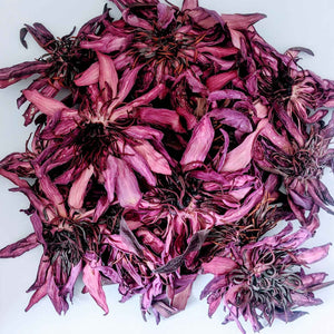 Dried Ceylon Natural Red Lotus flowers,Nymphaea Rubra Flowers, Red water lily flowers Herbal Tea | Ceylon Organic-8