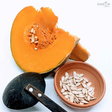 Load image into Gallery viewer, 200+ Organic Pumpkin Seeds | Ceylon organic-1
