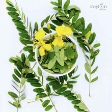 Load image into Gallery viewer, 2kg+ Senna Auriculata Leaves - The Perfect Ingredient for Teas, Smoothies, and Herbal Remedies | Ceylon Organic-3
