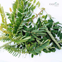 Load image into Gallery viewer, 2kg+ Senna Auriculata Leaves - The Perfect Ingredient for Teas, Smoothies, and Herbal Remedies | Ceylon Organic-4
