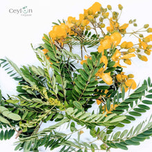 Load image into Gallery viewer, 2kg+ Senna Auriculata Leaves - The Perfect Ingredient for Teas, Smoothies, and Herbal Remedies | Ceylon Organic-0
