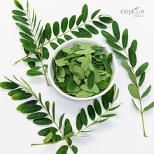 Load image into Gallery viewer, 2kg+ Senna Auriculata Leaves - The Perfect Ingredient for Teas, Smoothies, and Herbal Remedies | Ceylon Organic-5
