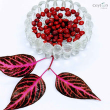 Load image into Gallery viewer, 200+ Red Lucky Seeds, Coral Bean, Jewelry Making Beans | Ceylon Organic-3
