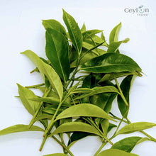 Load image into Gallery viewer, Sri Lankan Tea Leaves: Experience Authentic Flavor &amp; Quality | Ceylon Organic-1
