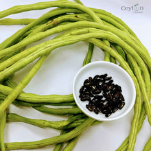 Load image into Gallery viewer, 100+ Yardlong bean seeds, pea bean seeds, long-podded cowpea seeds | Ceylon Organic-1
