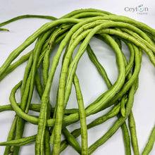 Load image into Gallery viewer, 100+ Yardlong bean seeds, pea bean seeds, long-podded cowpea seeds | Ceylon Organic-2
