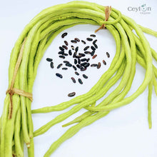 Load image into Gallery viewer, 100+ Yardlong bean seeds, pea bean seeds, long-podded cowpea seeds | Ceylon Organic-4
